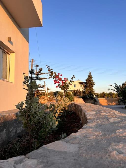 Theasis Apartments Adamantas Exterior photo